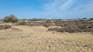 2023-GC--Mapalomas dunas-S123-221.jpg